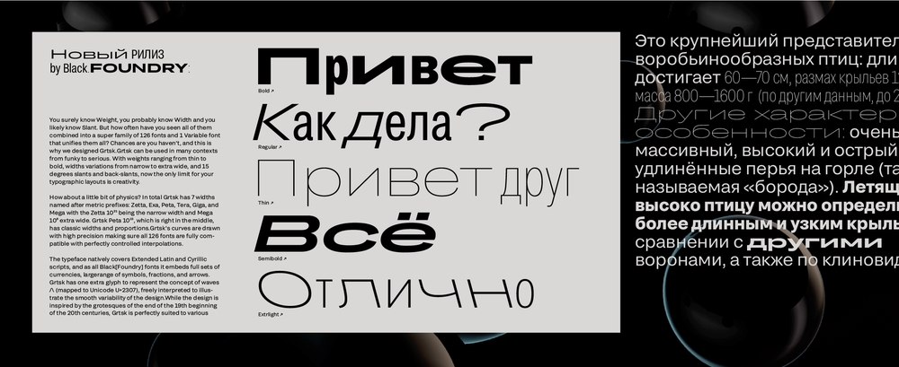 Przykład czcionki Grtsk Giga Light Italic